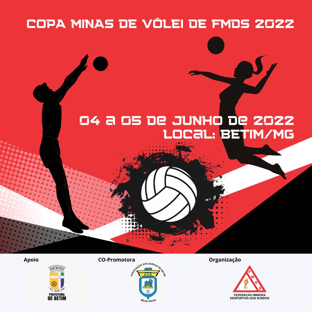 Copa Minas de Volei FMDS