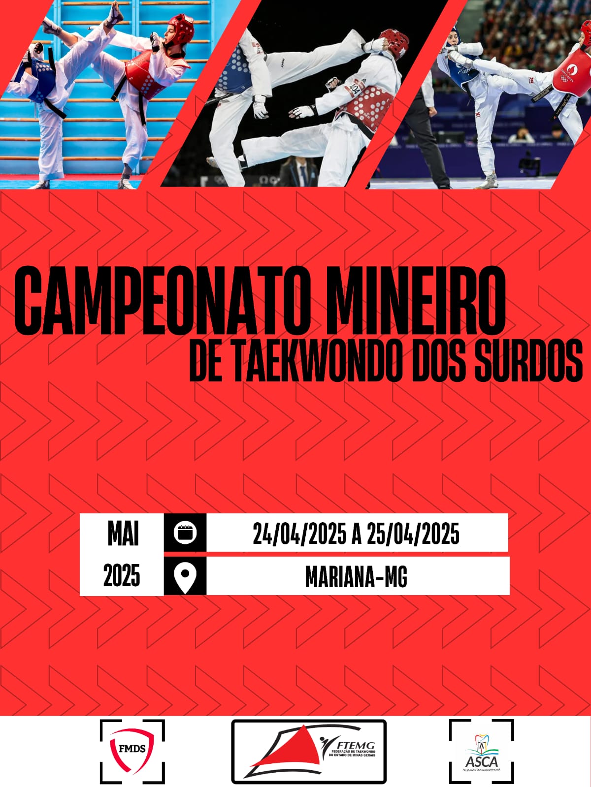 Campeonato Mineiro de Taekwondo