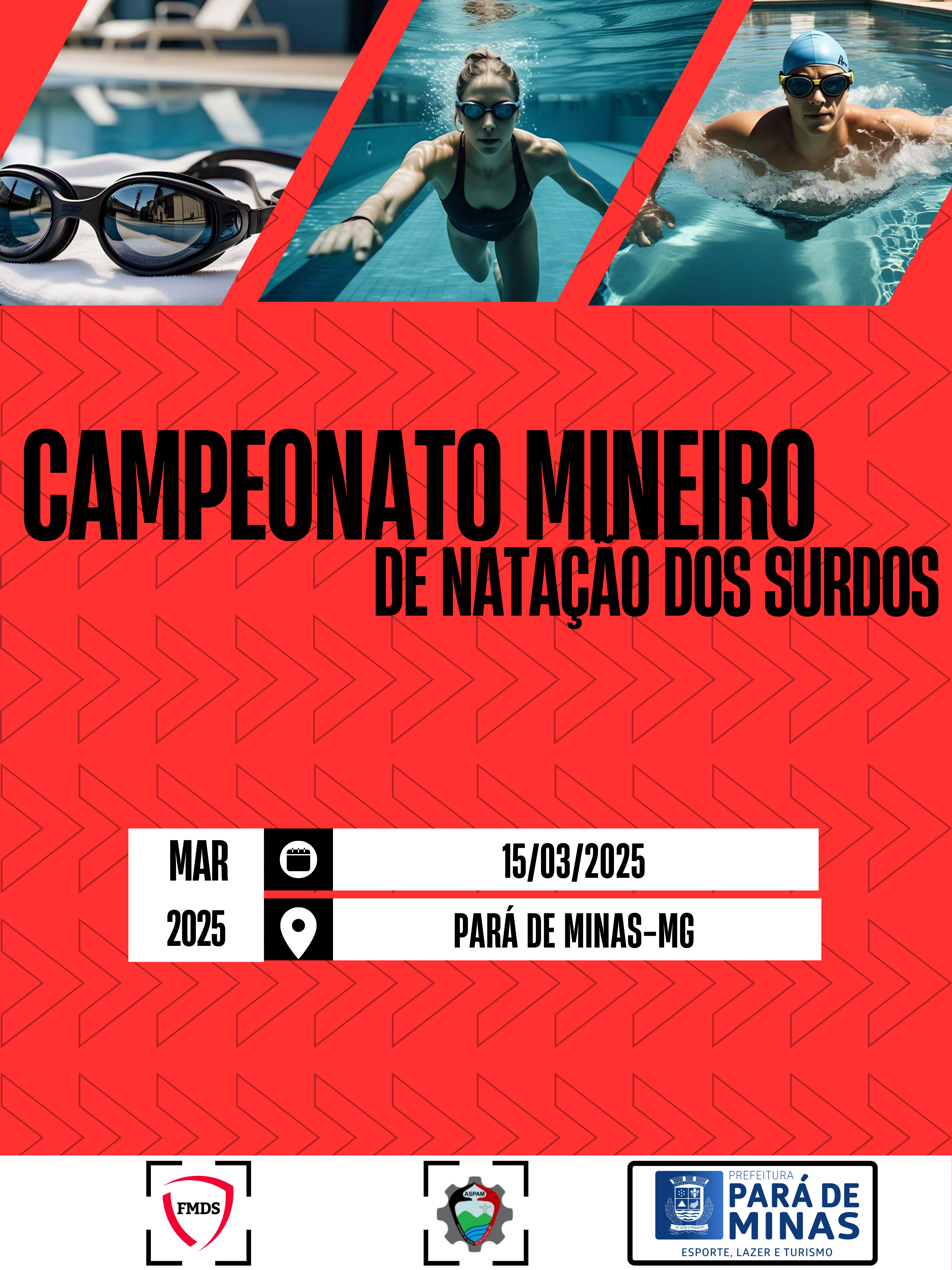 Campeonato Mineiro de Natação