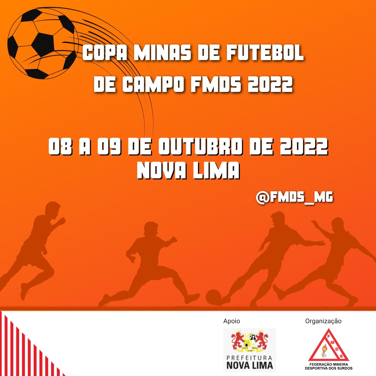 Copa Minas de Futebol de Campo FMDS
